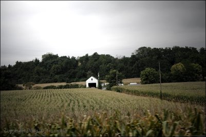 Damned_Words_30_PhotoPrompt